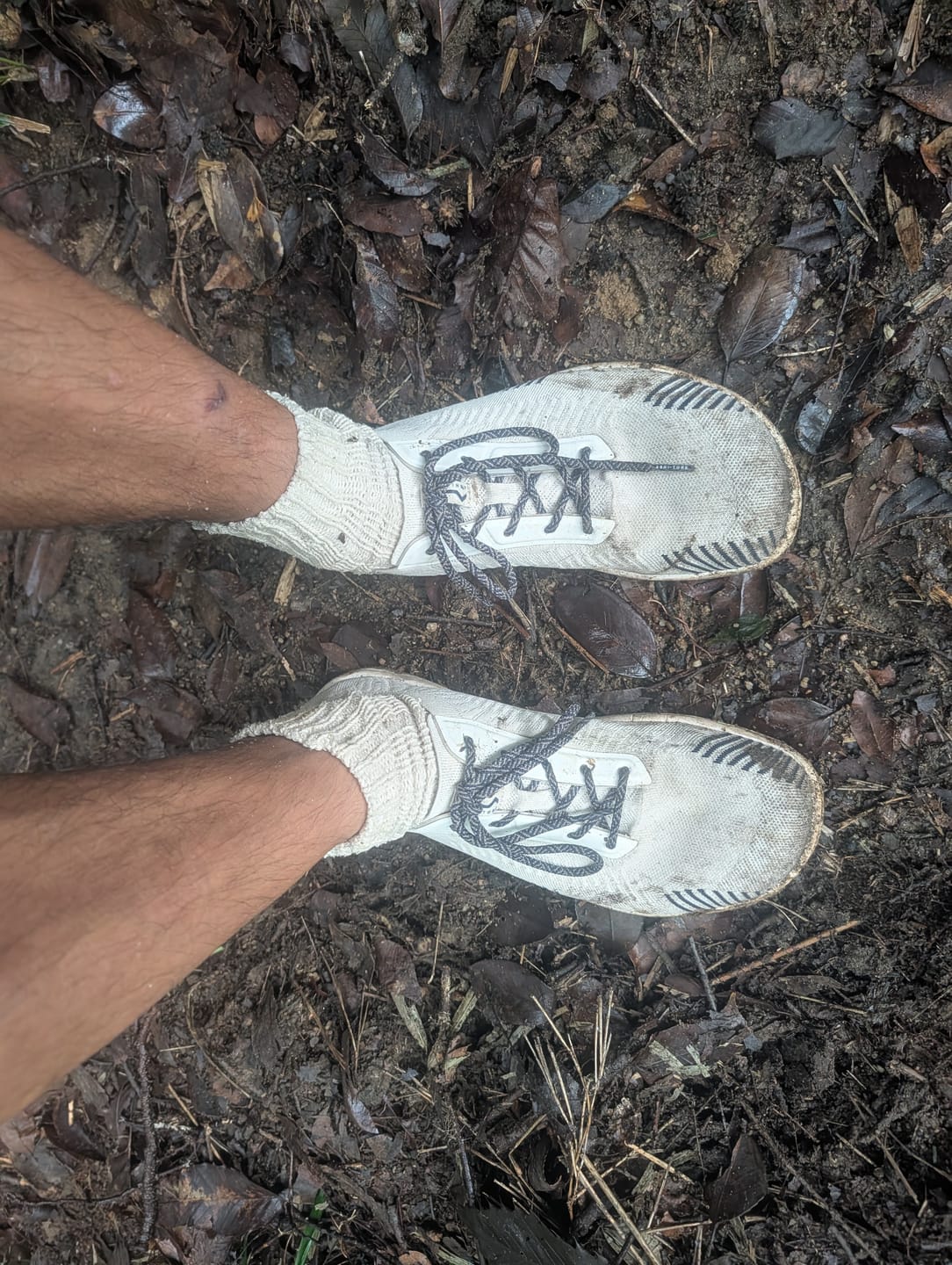 Customer photo review of GRABBING SHOES ROOTS