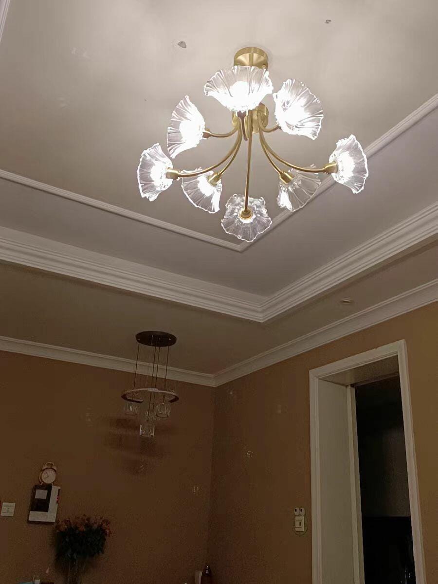 Customer photo review of Brass Chandelier, Clear Glass Petal Shades, 3 to 8 Heads