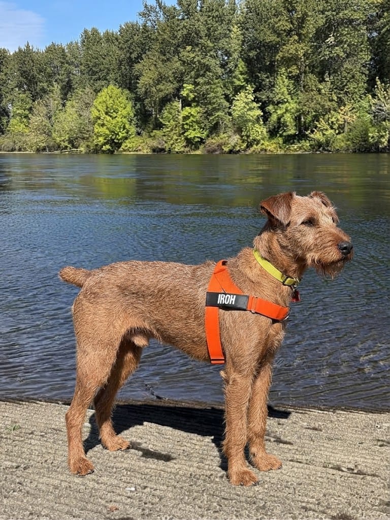 Customer photo review of Kit EasyFit Anti-Tirones