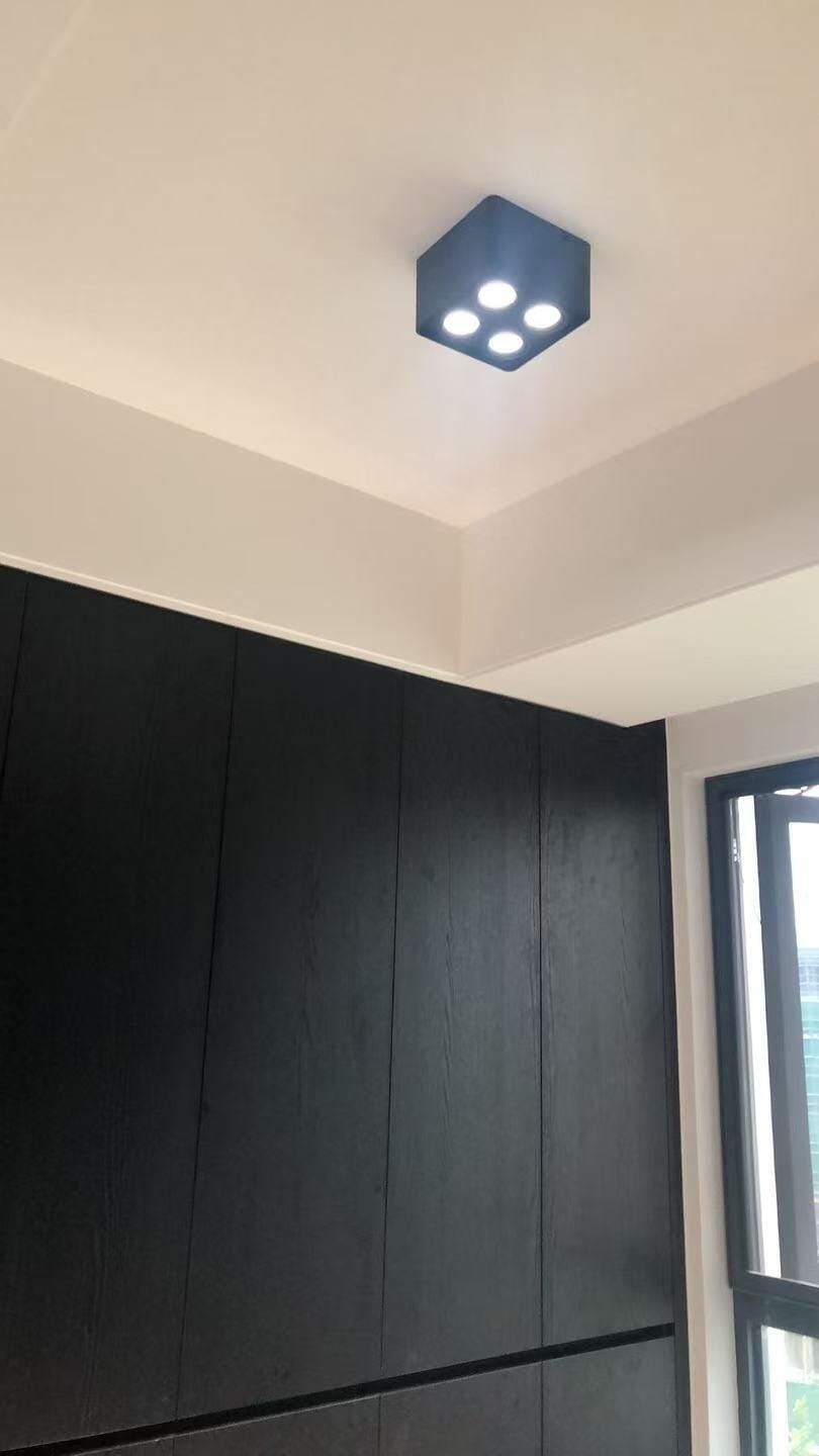 Customer photo review of Angular Steel Spotlight, 24-Degree Beam, 1 to 4 Lights