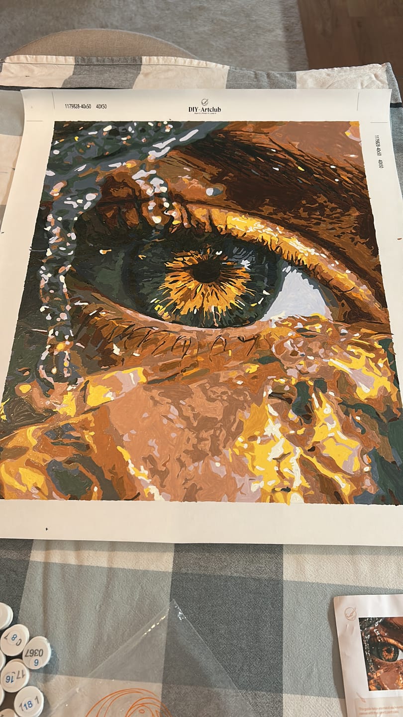 Customer photo review of Emerald Gaze | Paint by Number