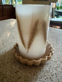 Customer photo review of Natural Scallop Dish