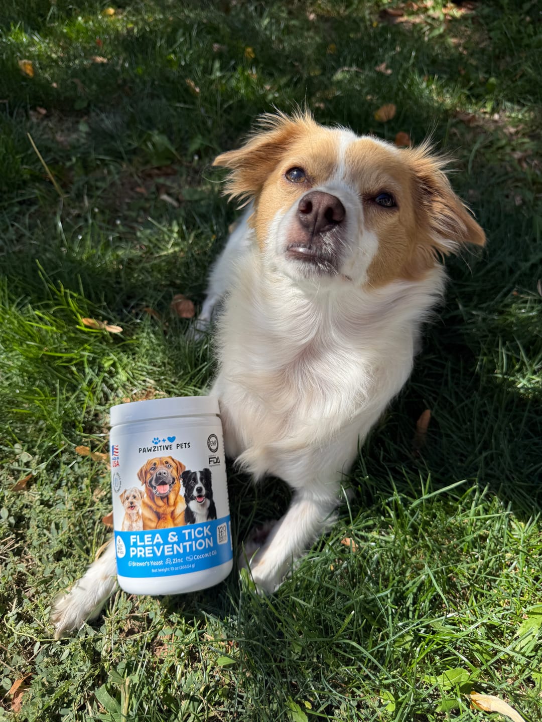 Customer photo review of Dog Flea and Tick Prevention for Outdoor & Seasonal Protection – Skin & Coat Support, 120 Soft Chews (Beef Flavor)