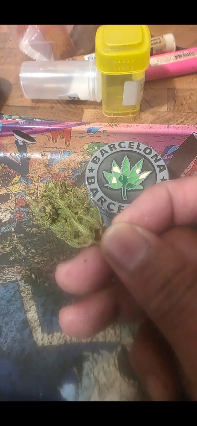 Customer photo review of KIND - Jungle Gelato - 28 Grams - Indica