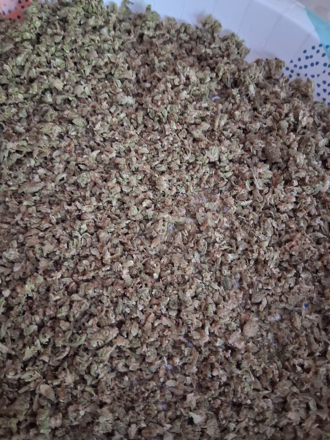 Customer photo review of OG Kush Light Dep THCA