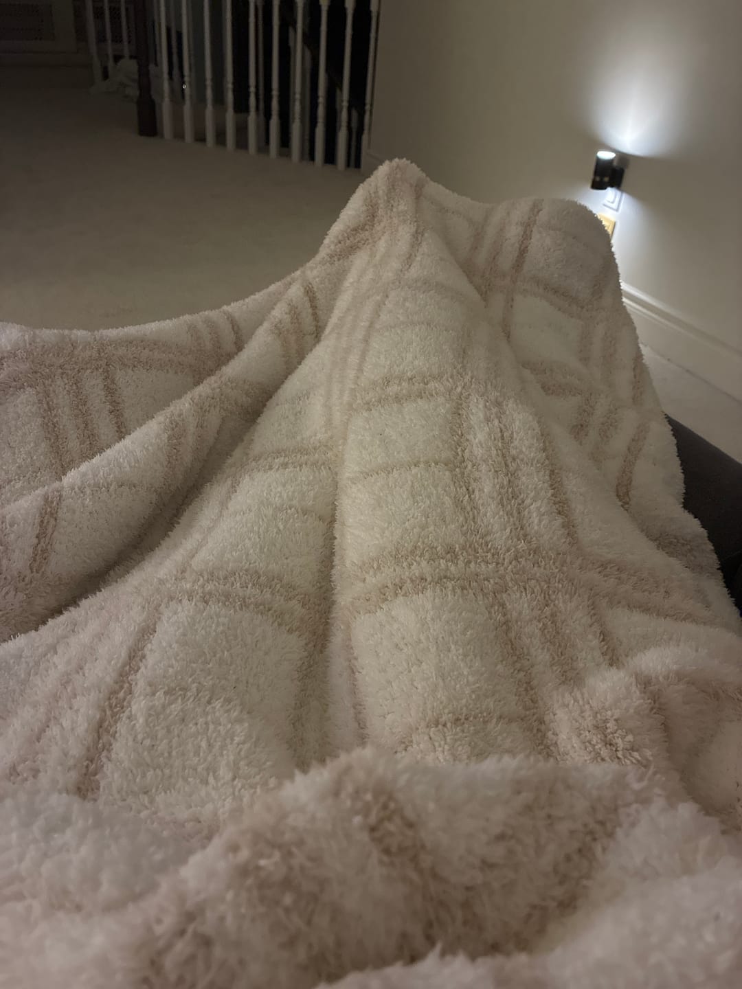 Customer photo review of Blushing Beige & White Plaid Print Extended Throw