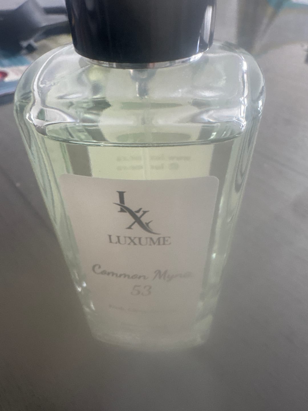 Customer photo review of #53 Common Myna | Inspired by LV Imagination