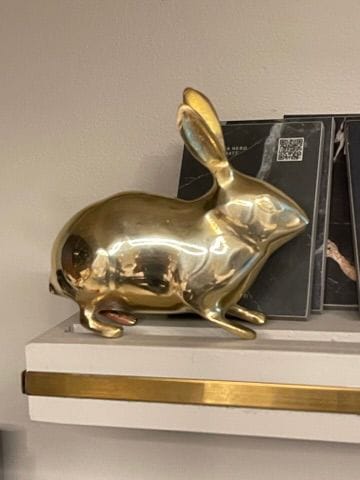 Customer photo review of Golden Rabbit Brass Idol – Auspicious Vastu Remedy for Wealth Attraction & Prosperity | Ideal for North Direction, Office Desk & Home Entrance | 13 x 4.5 x 11.5 cm | 670 g