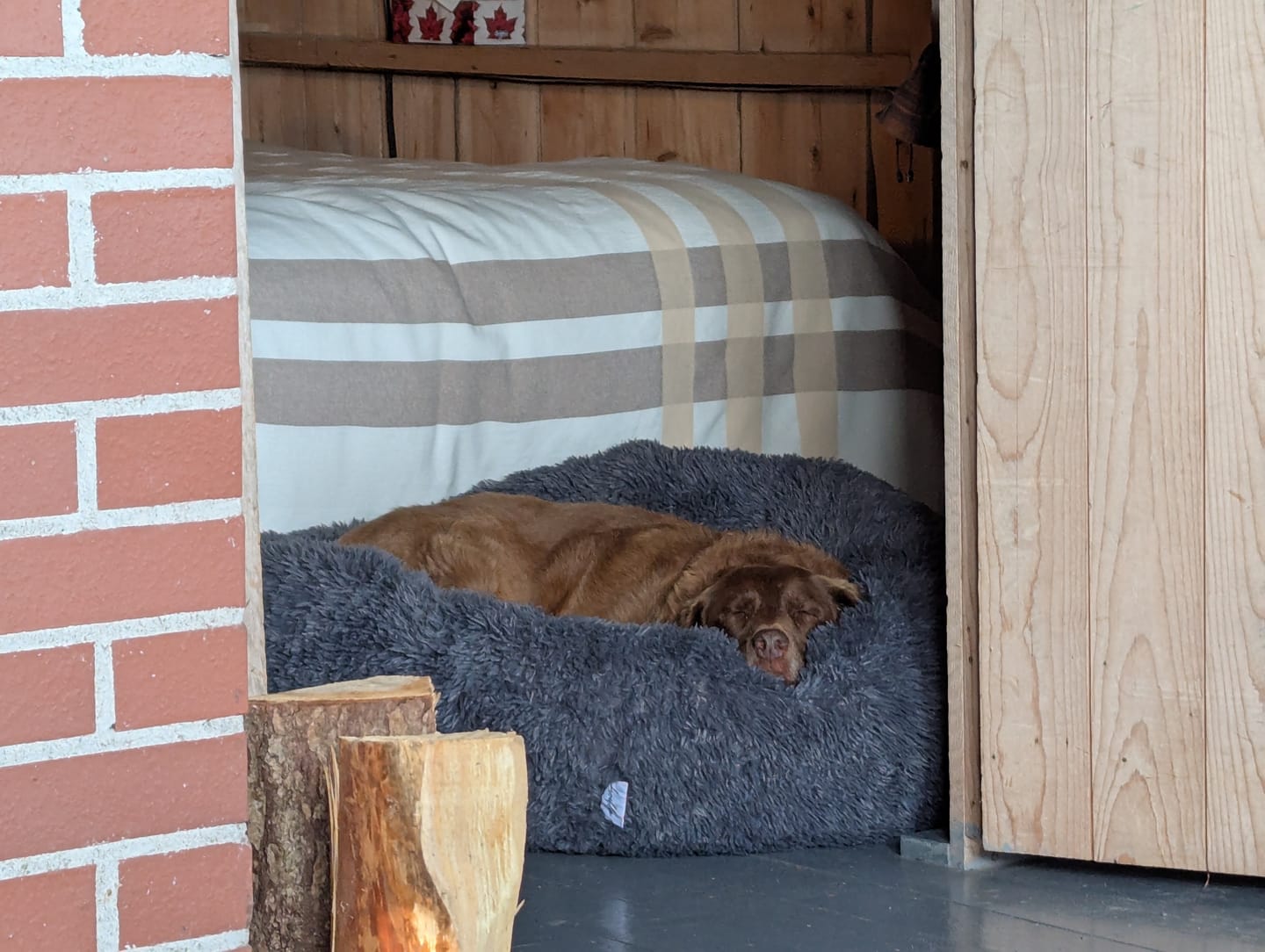 Customer photo review of Brooklyn® Deep Sleep Spare Covers