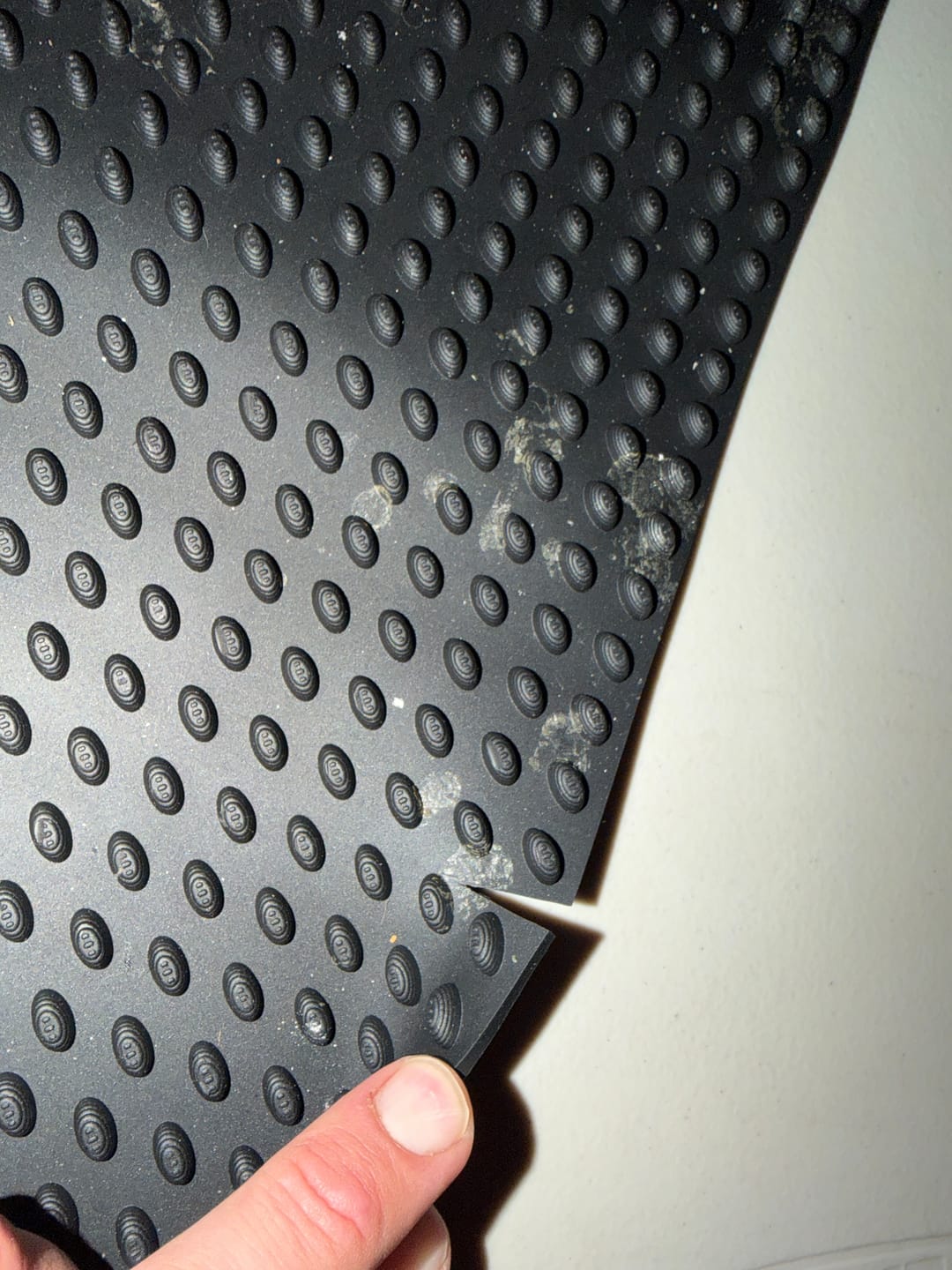 Customer photo review of Gibbs Fish Cleaning Mat