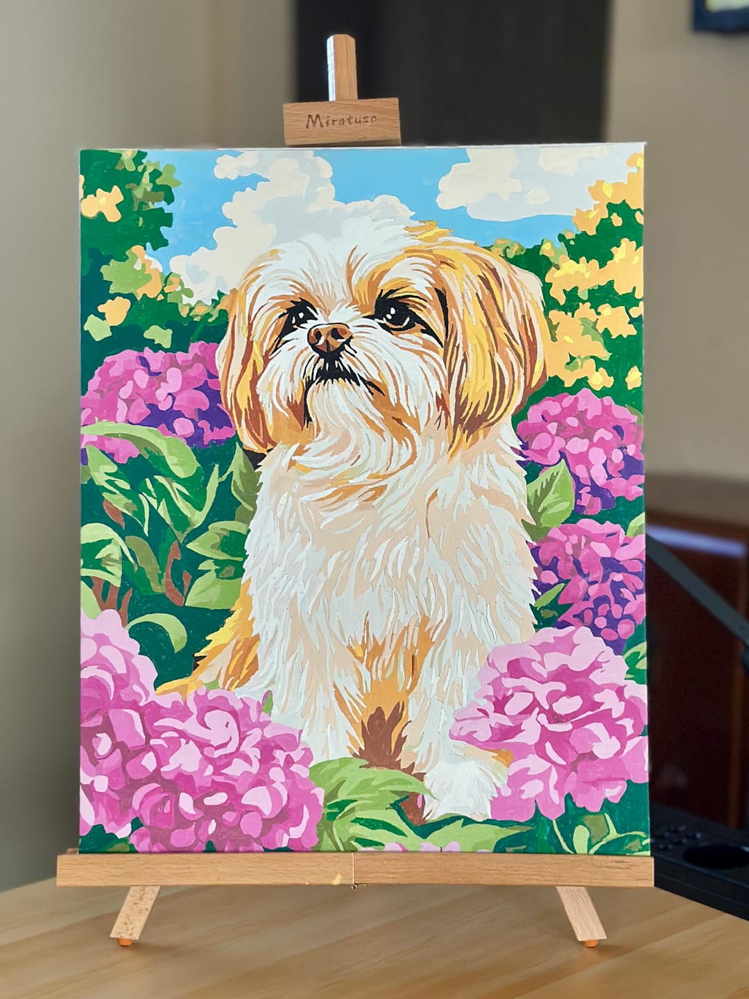 Customer photo review of Golden Shih Tzu