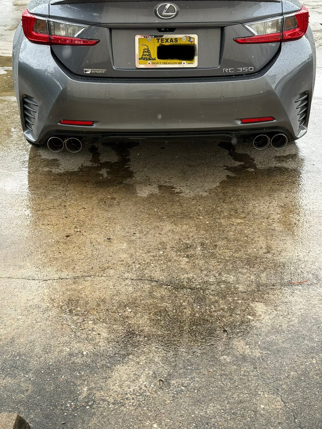Customer photo review of 2015-Up Lexus RC200t 300 350 Muffler Delete Axle Back Quad Tips Exhaust