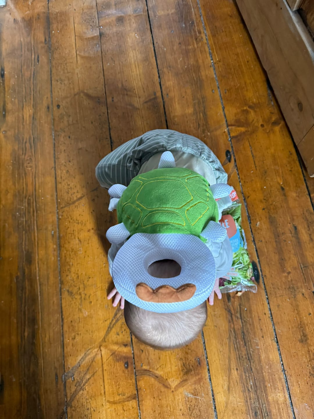 Customer photo review of Tumble Buddy — Baby Head Protector Backpack
