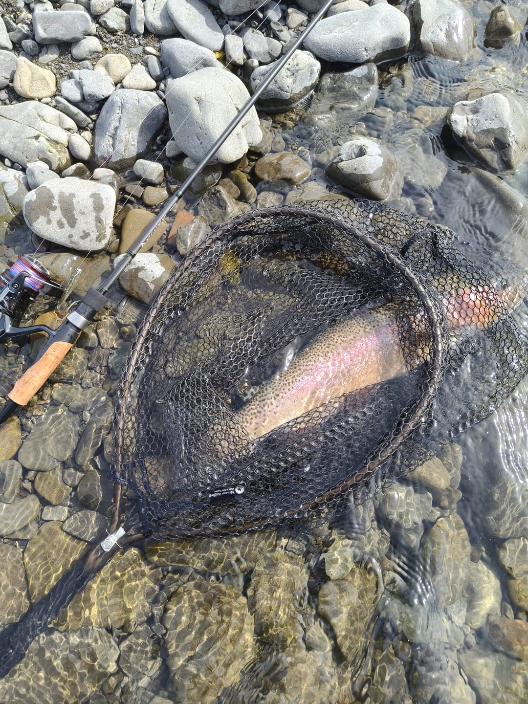 Customer photo review of Shimano - VANFORD 2500HG