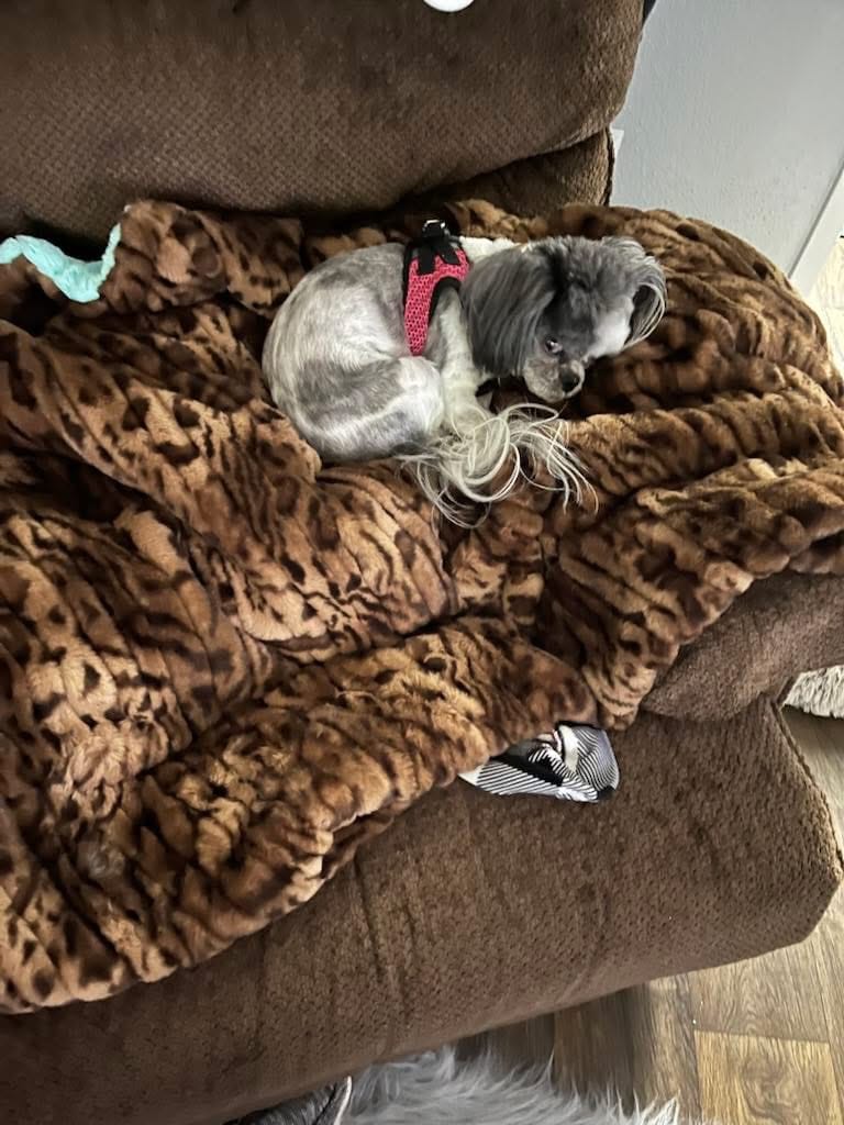 Customer photo review of The Whispers of Autumn Blanket