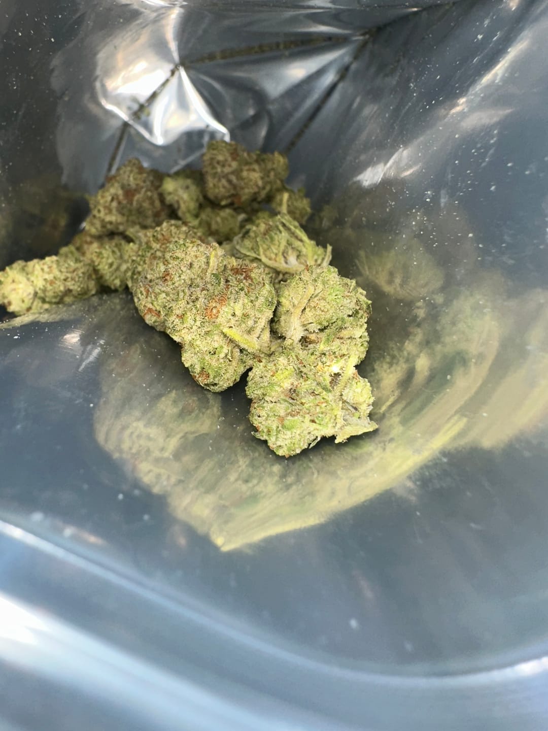 Customer photo review of Kinglato Light Assist THCA