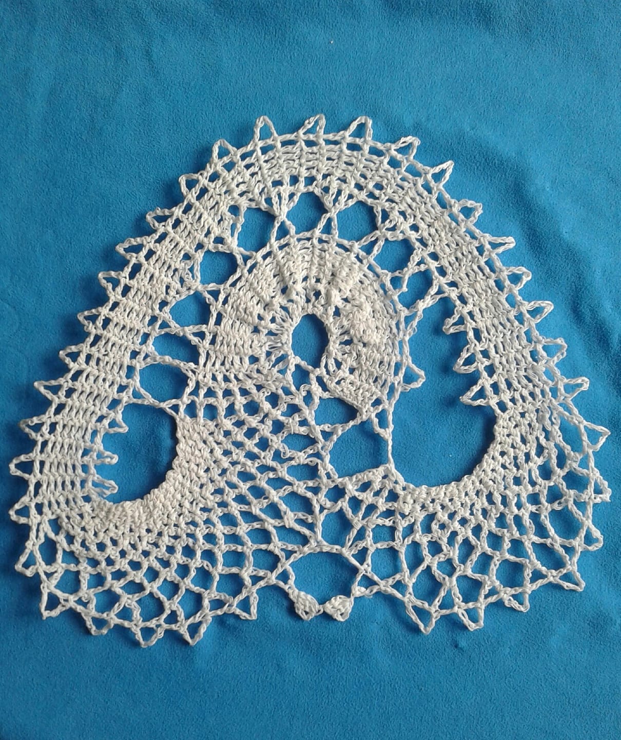 Customer photo review of Libro Mundo Crochet