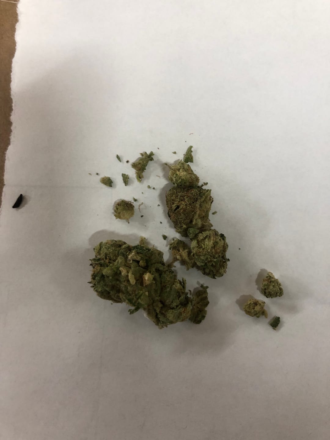 Customer photo review of SFV OG - Minis - 28 Grams - Sativa