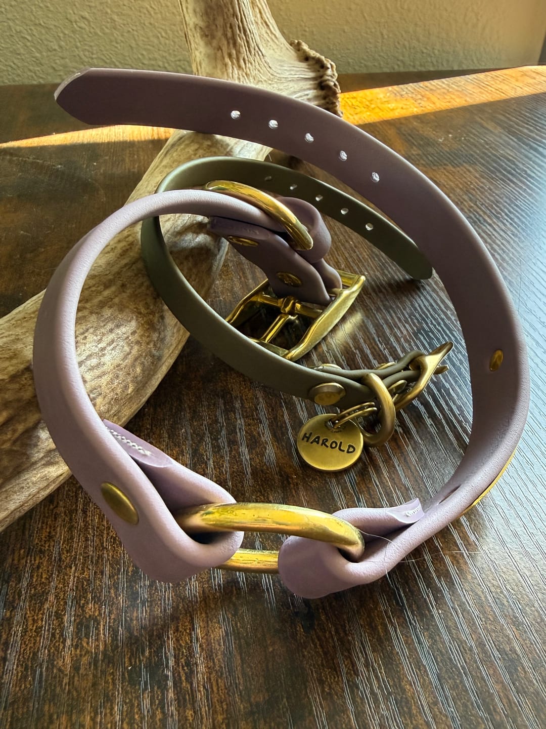 Customer photo review of Denali Center Ring BioThane Collar