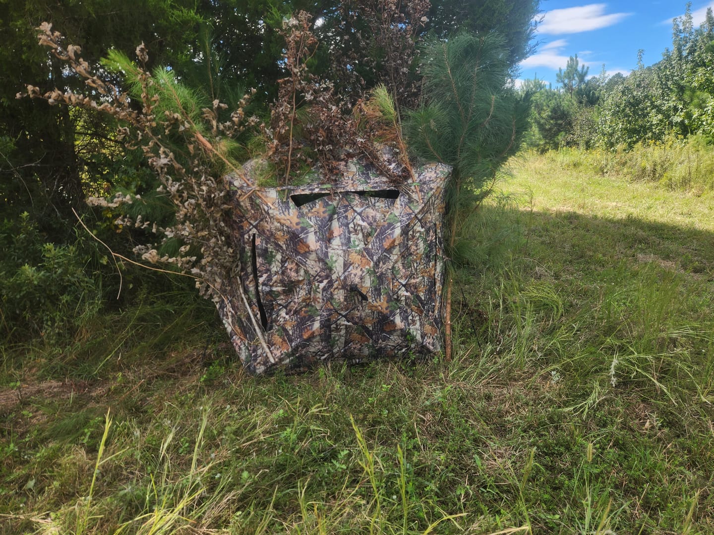 Customer photo review of VisST 270° See Through Ground Blinds | Pop Up Portable Blinds for 2 3 Person Deer Hunting with Silent Magnetic Door
