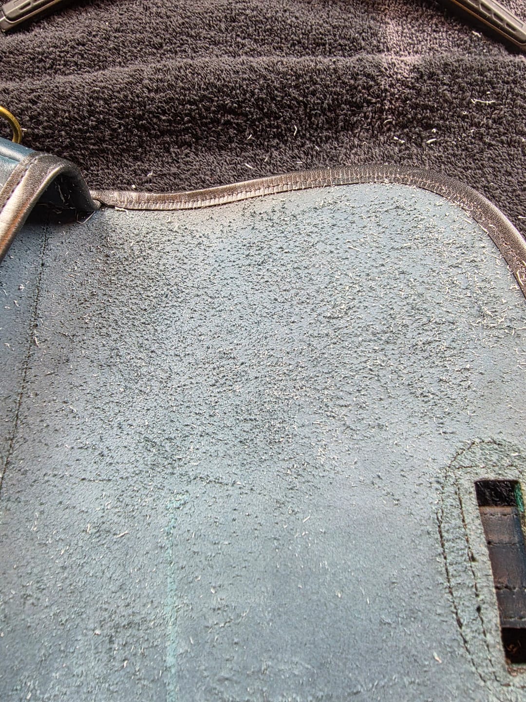 Customer photo review of Suede Saver