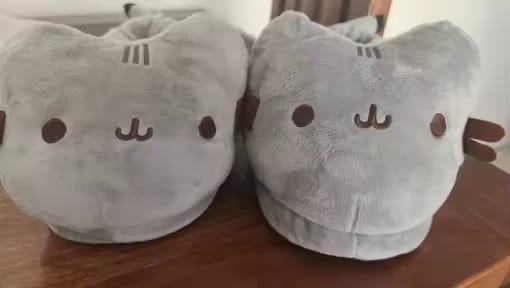 Customer photo review of Chaussons Chat Gris