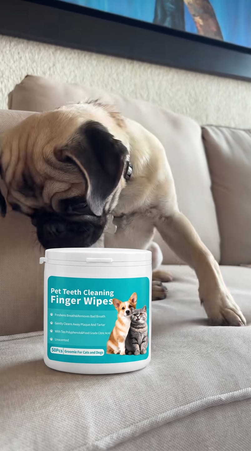 Customer photo review of Toallitas dentales para mascotas