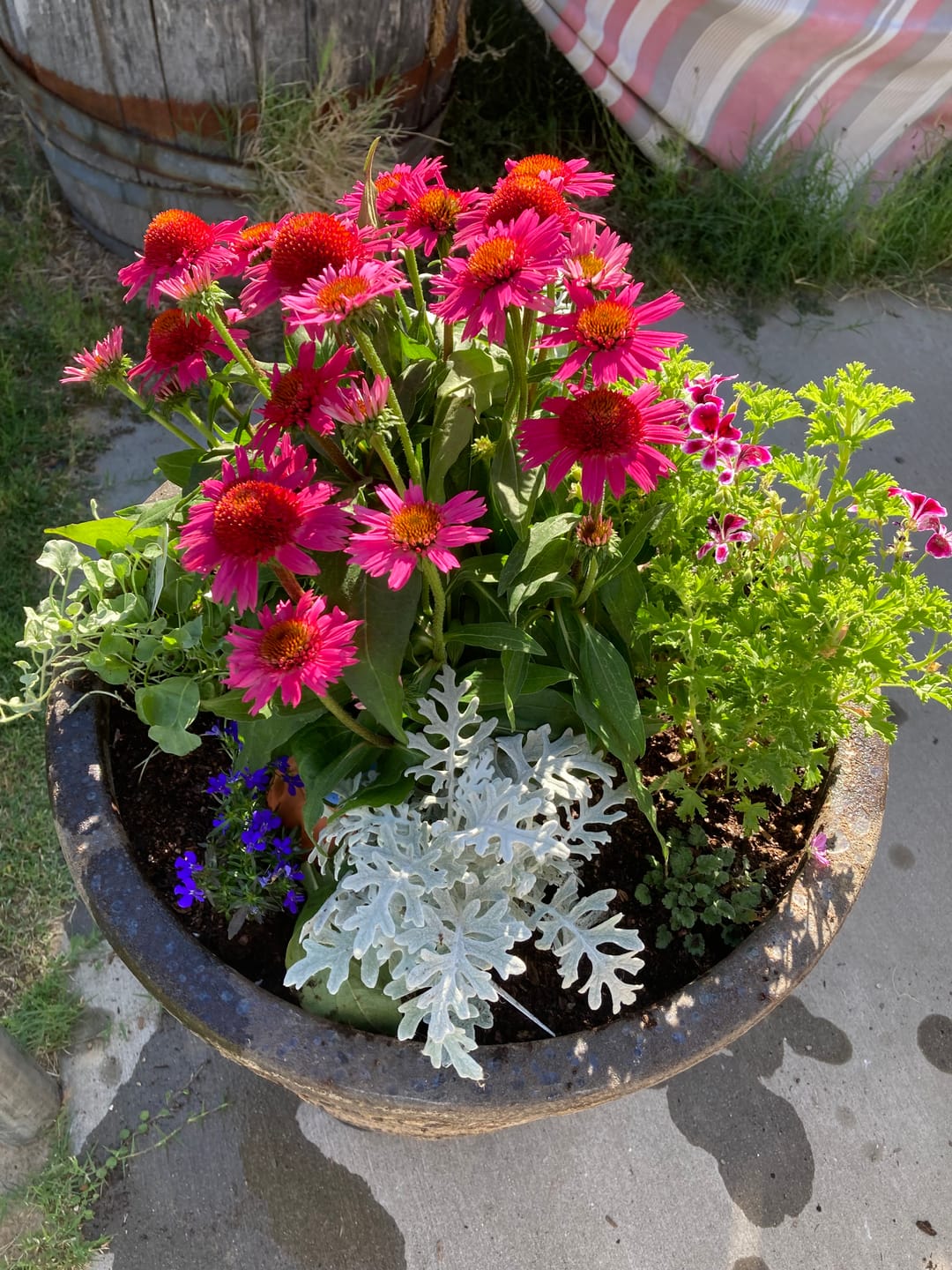 Customer photo review of Oya™ Watering Spike