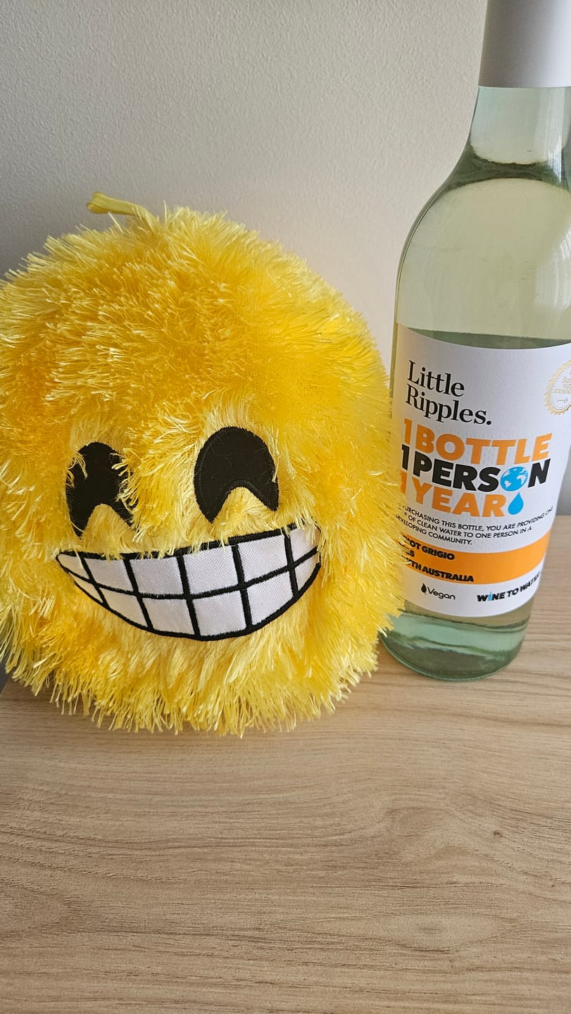 Customer photo review of Zero Sugar Pinot Grigio – Vegan Australian White Wine | 6 Pack