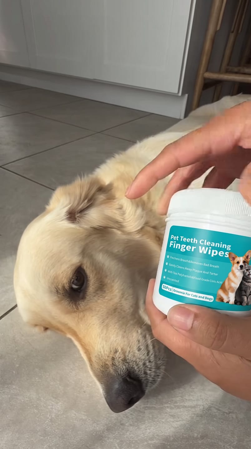 Customer photo review of Toallitas dentales para mascotas