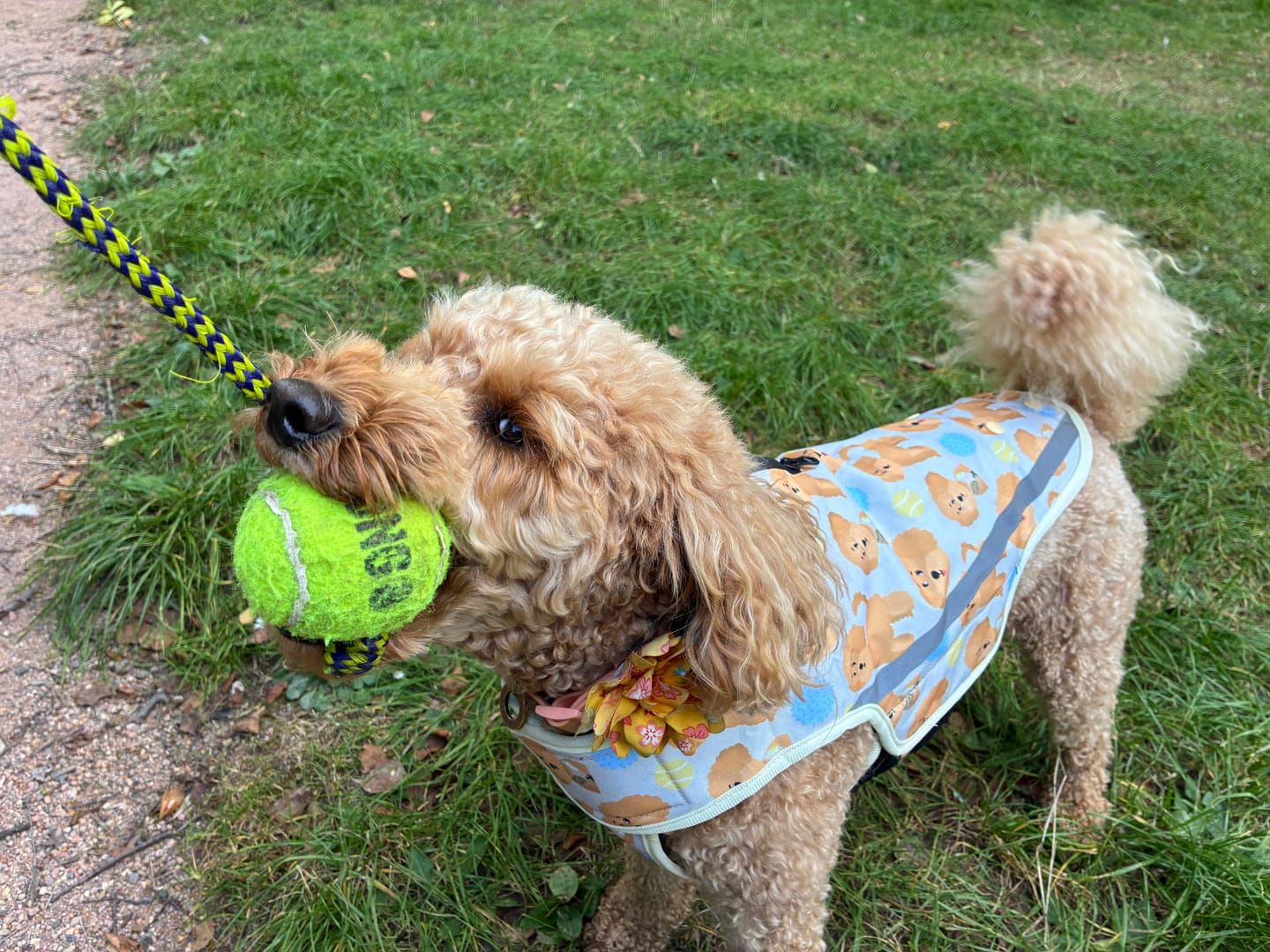 Customer photo review of Rain Jacket - Curly Club