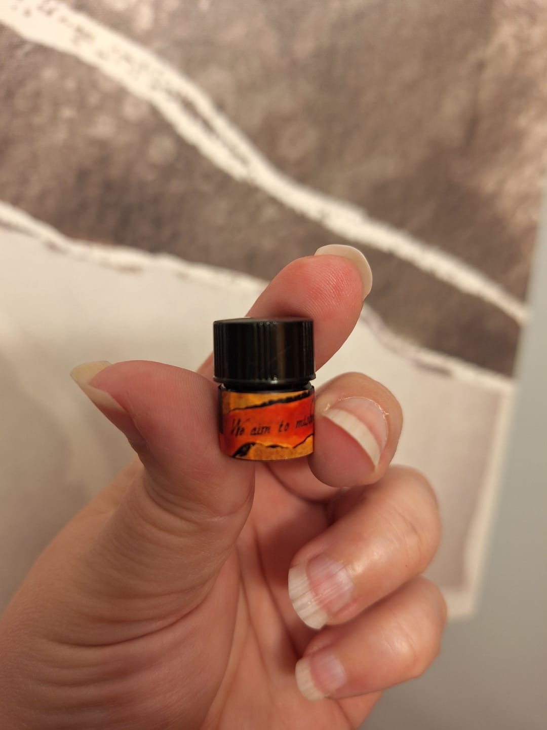 Customer photo review of We Aim to Misbehave