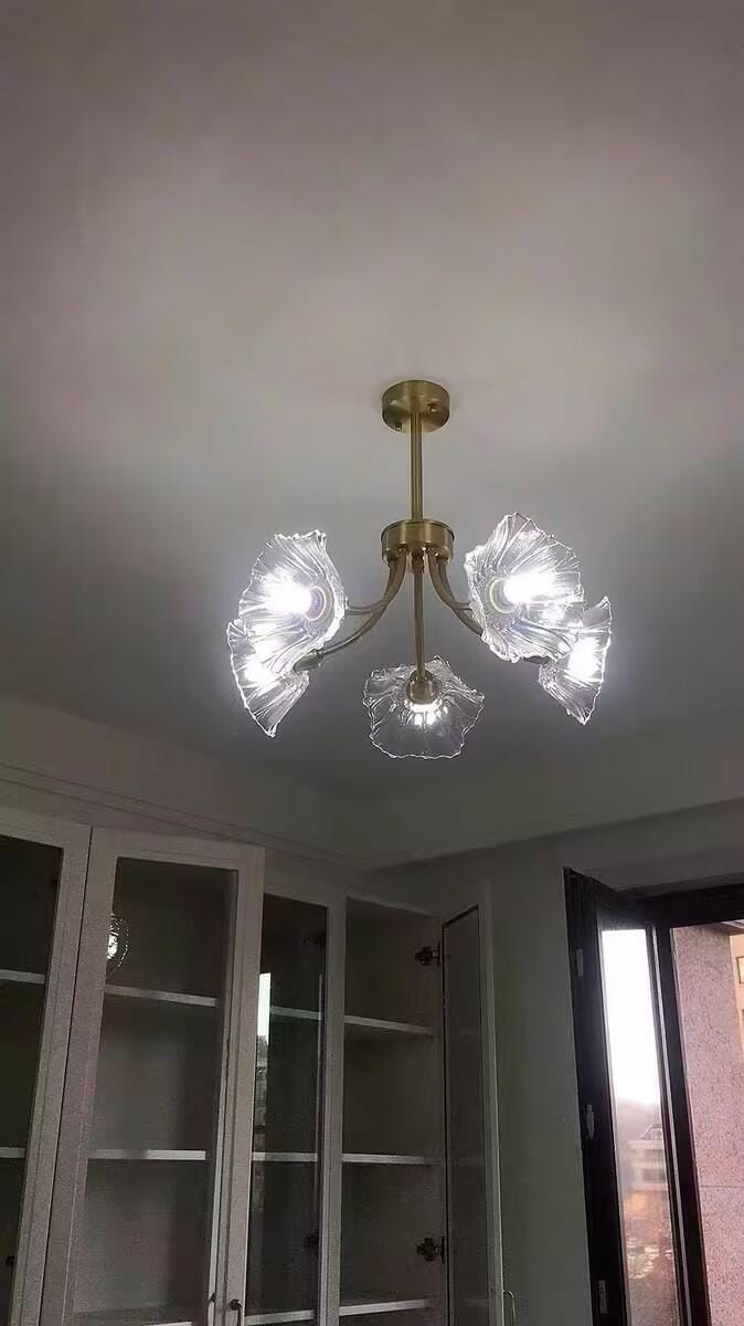Customer photo review of Brass Chandelier, Clear Glass Petal Shades, 3 to 8 Heads