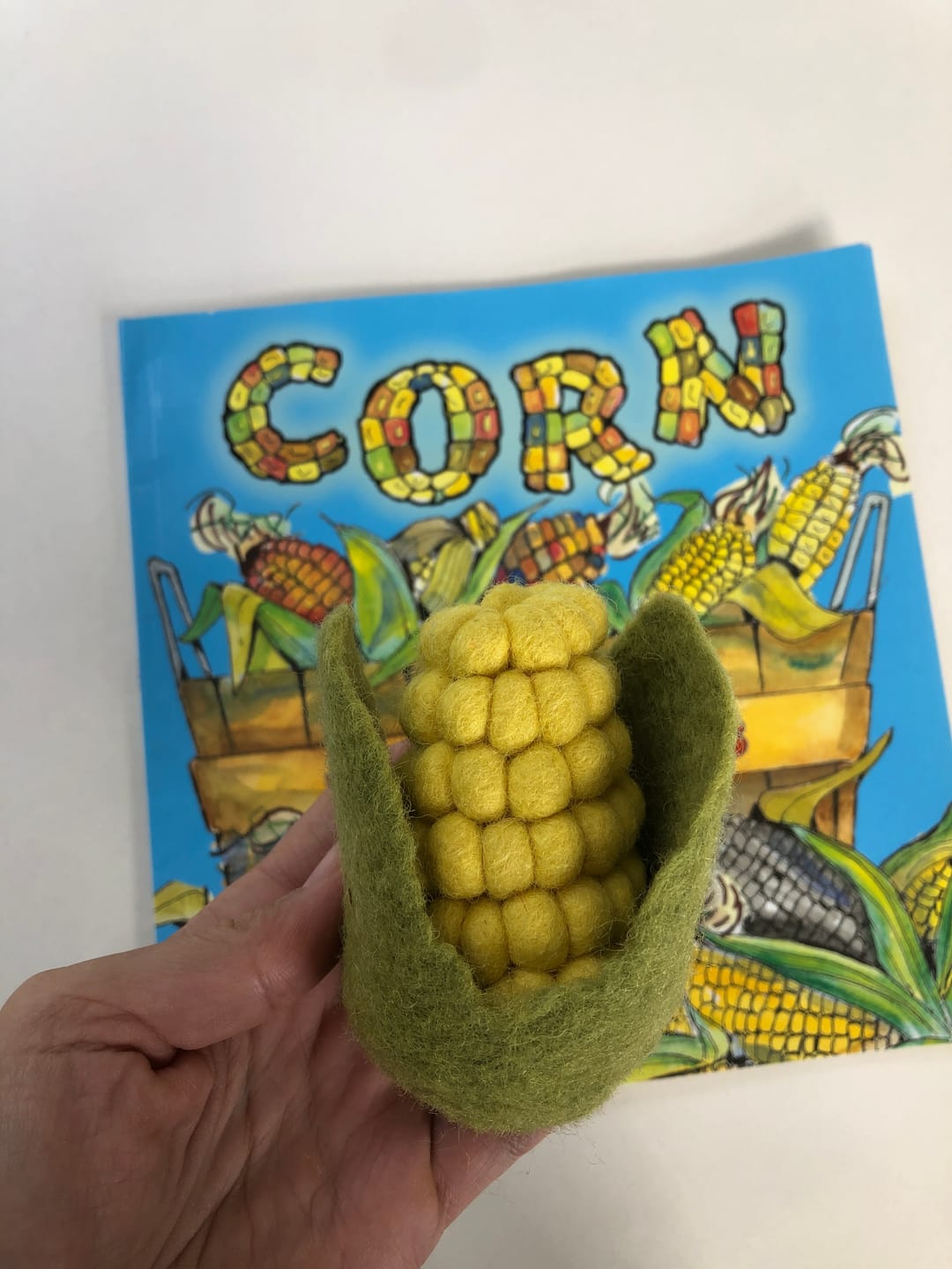 Customer photo review of Felt Vegetables and Fruits - Pick and Choose