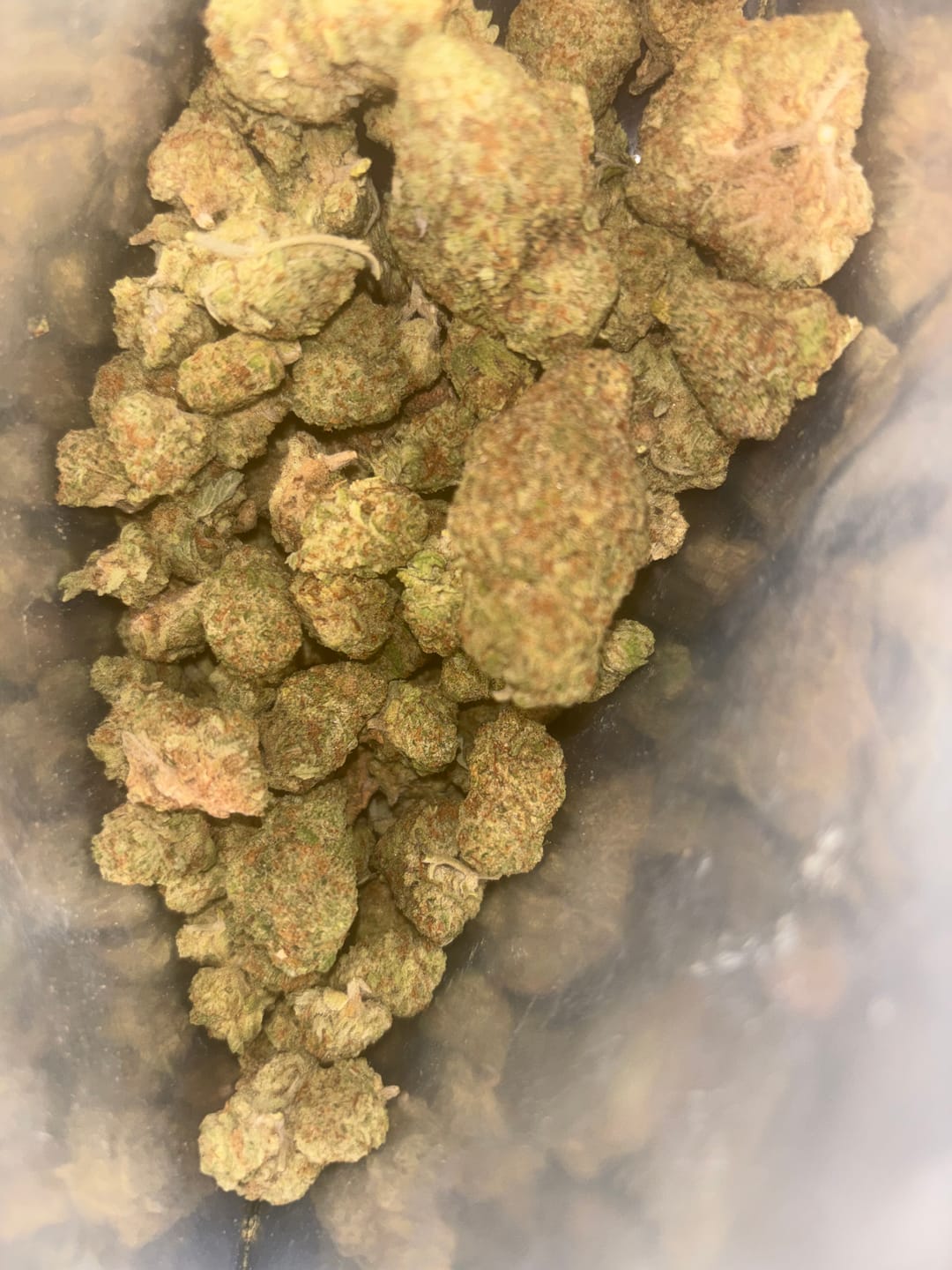 Customer photo review of Acapulco Punch THCA Flower