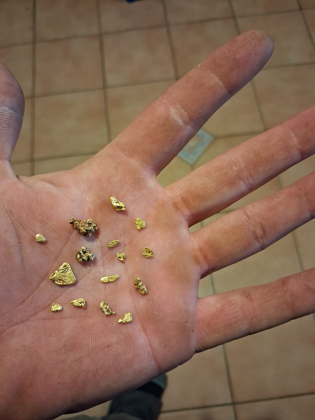 Customer photo review of Minelab SDC 8" Round Skid Plate