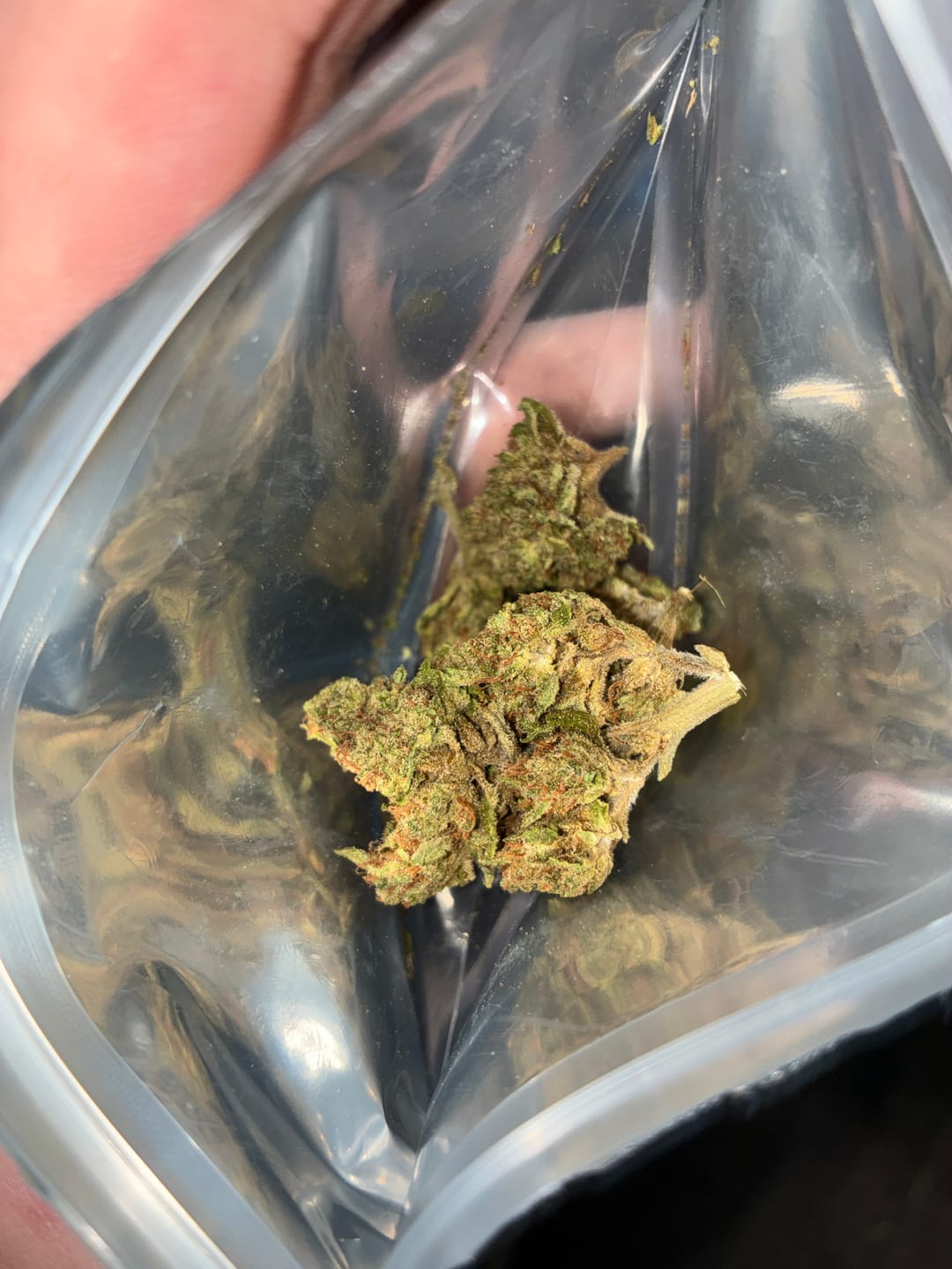 Customer photo review of THCA Queen