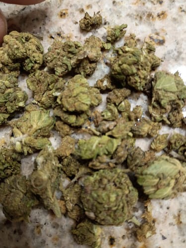 Customer's 1 Oz Cheap THCA Small Buds, showing a pile of compact green flower buds on a speckled surface.