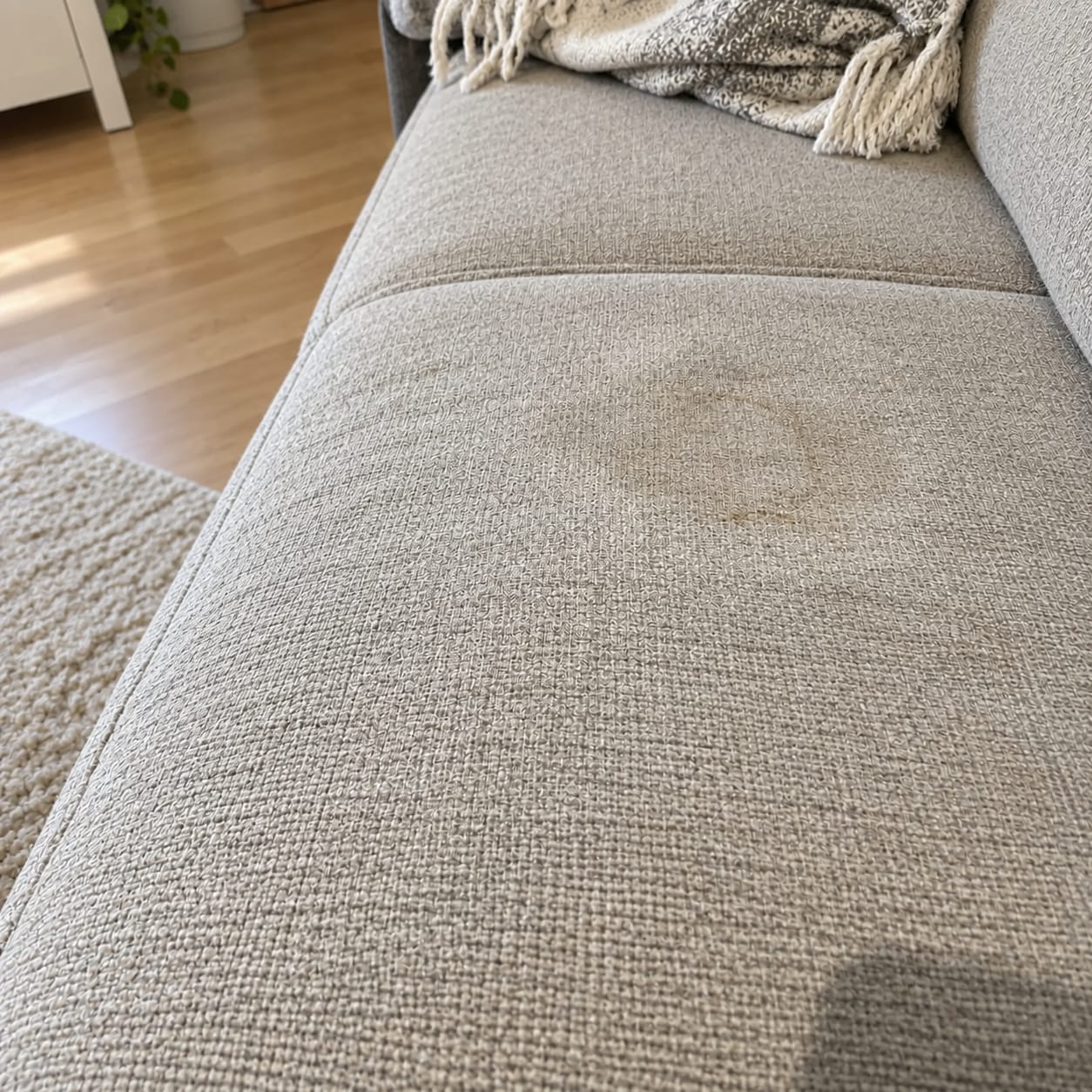 Customer photo review of MONZANA SC4000 Teppich- und Polsterreiniger