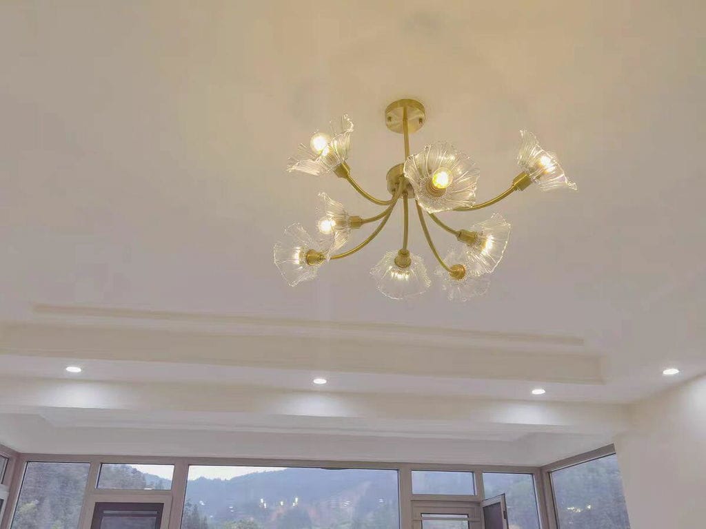 Customer photo review of Brass Chandelier, Clear Glass Petal Shades, 3 to 8 Heads