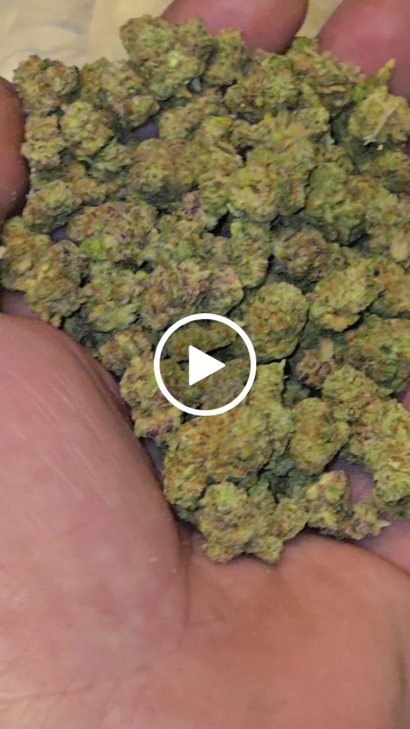 Customer video review of Glitter Bomb (Half-Price Wholesale Clearance)