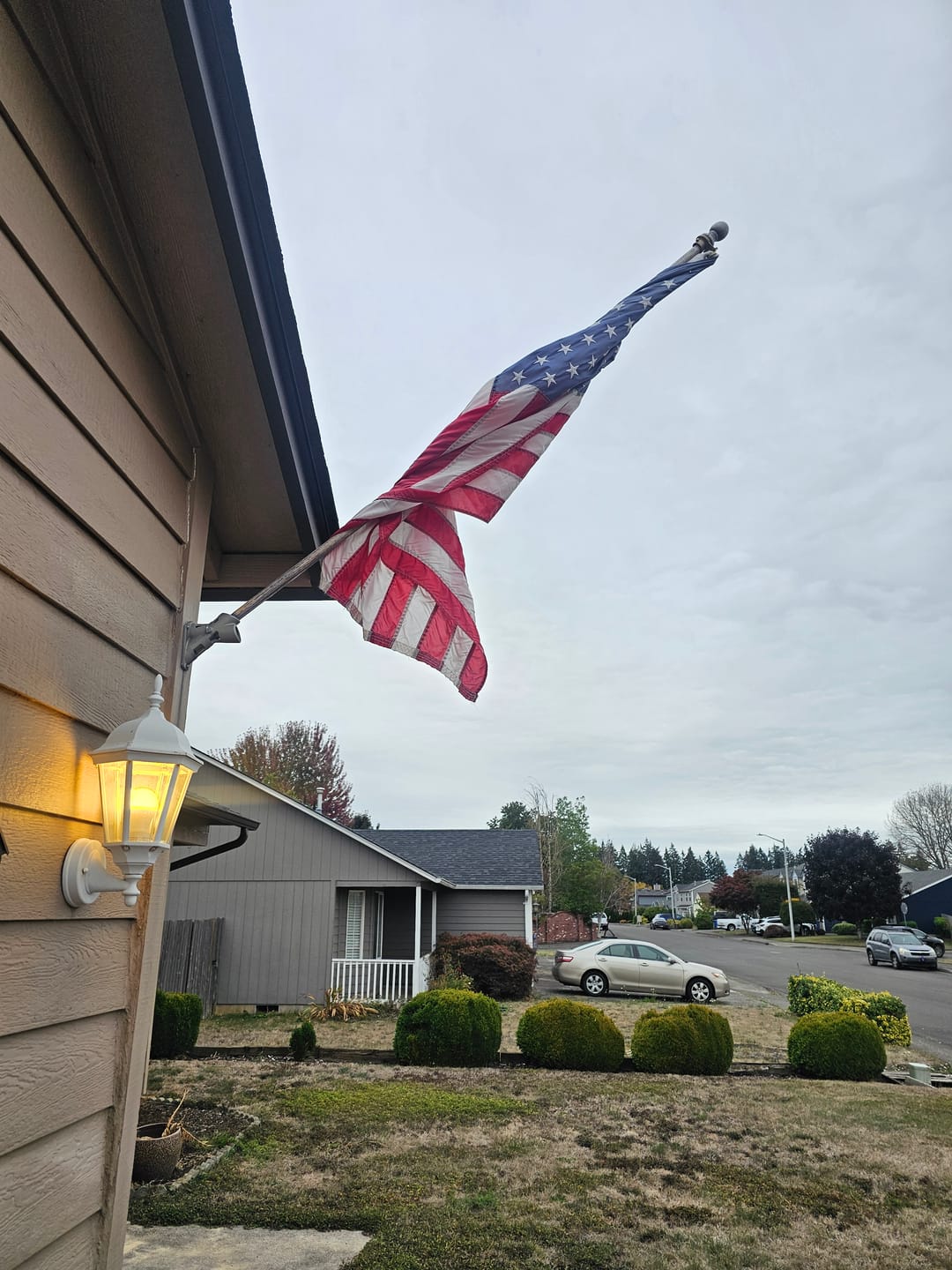Customer photo review of Non-Tangle Flagpole Spinners