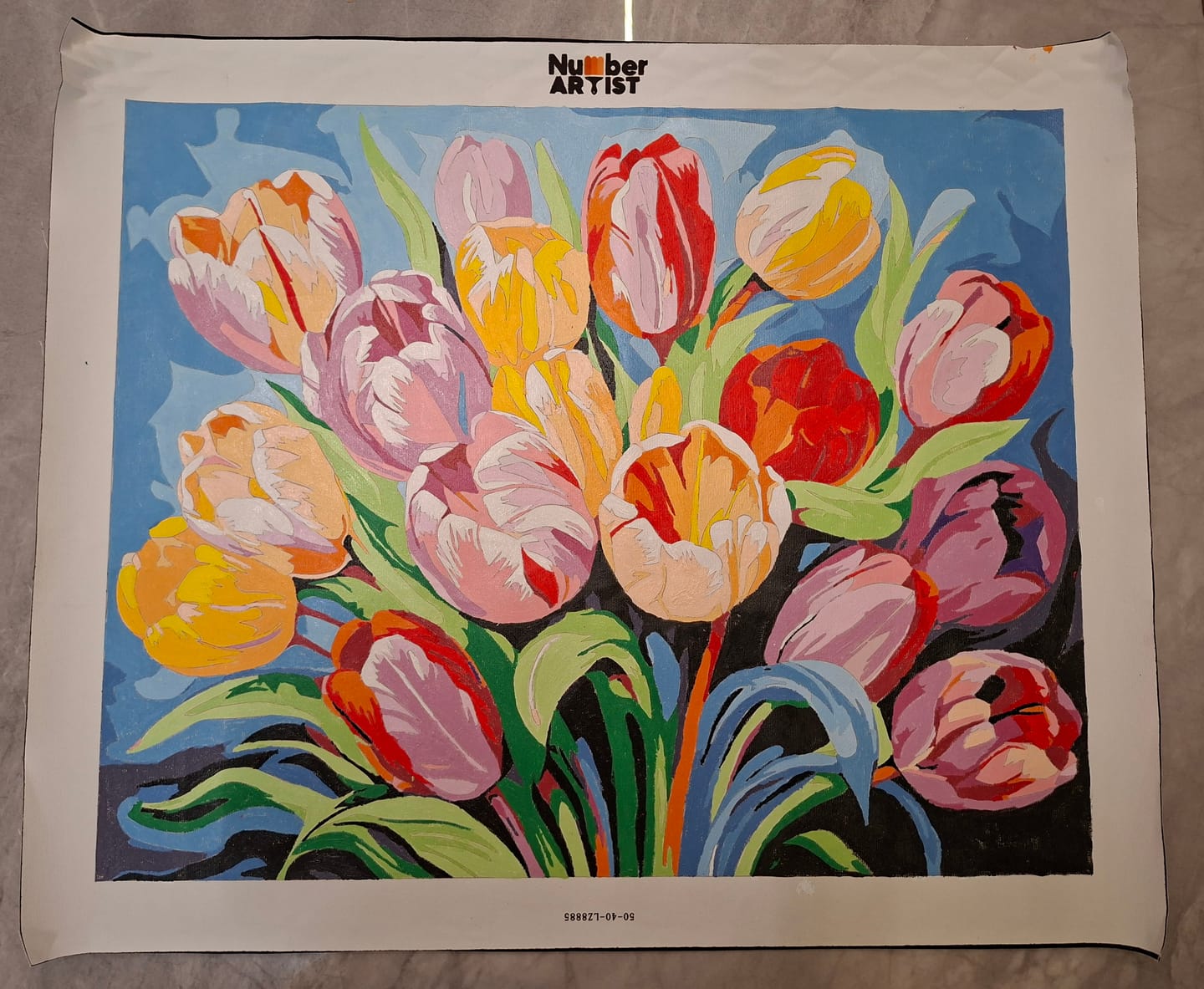Customer photo review of Vibrant Tulip Medley
