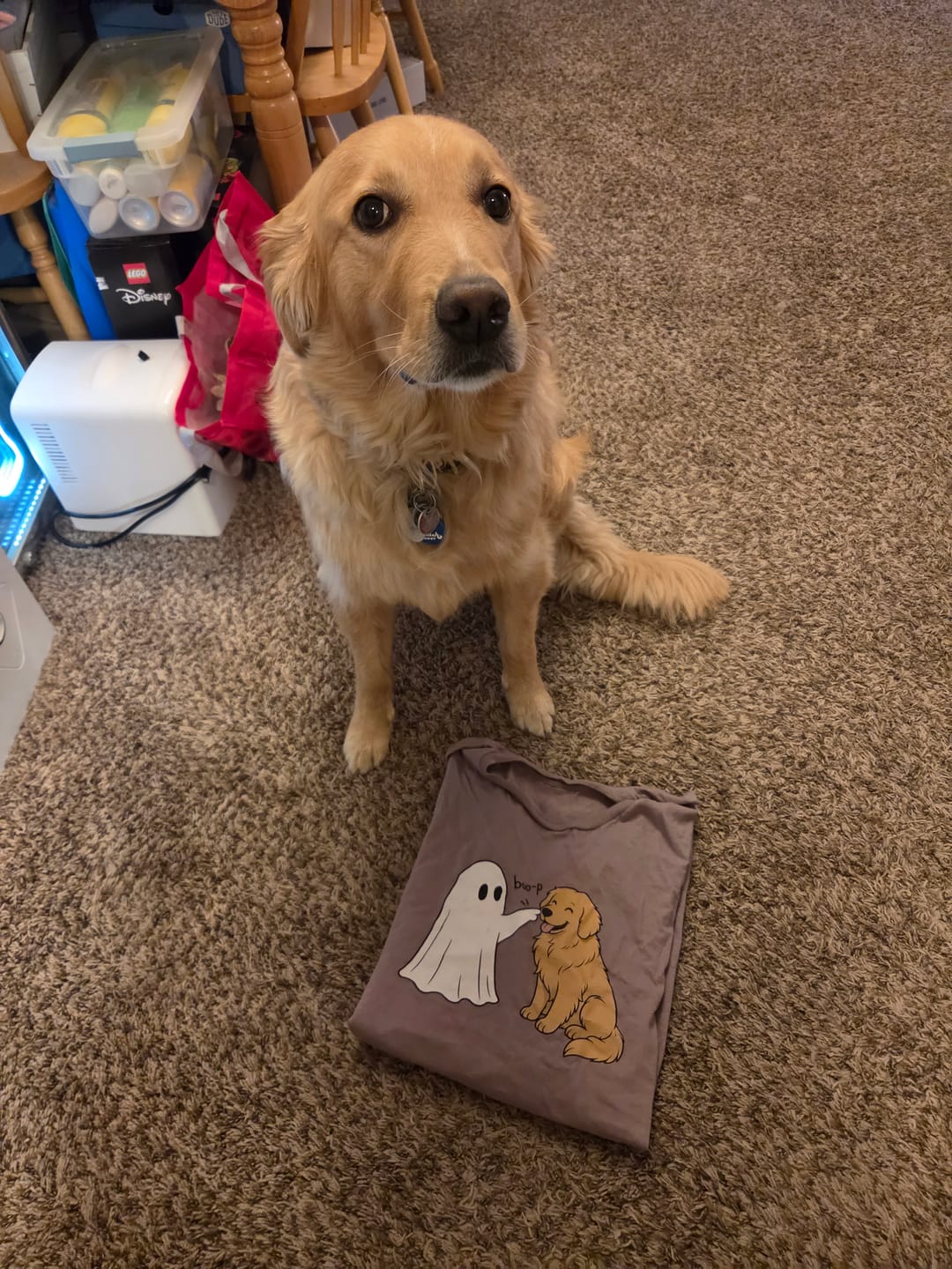 Customer photo review of Boo-p Golden Retriever Shirt
