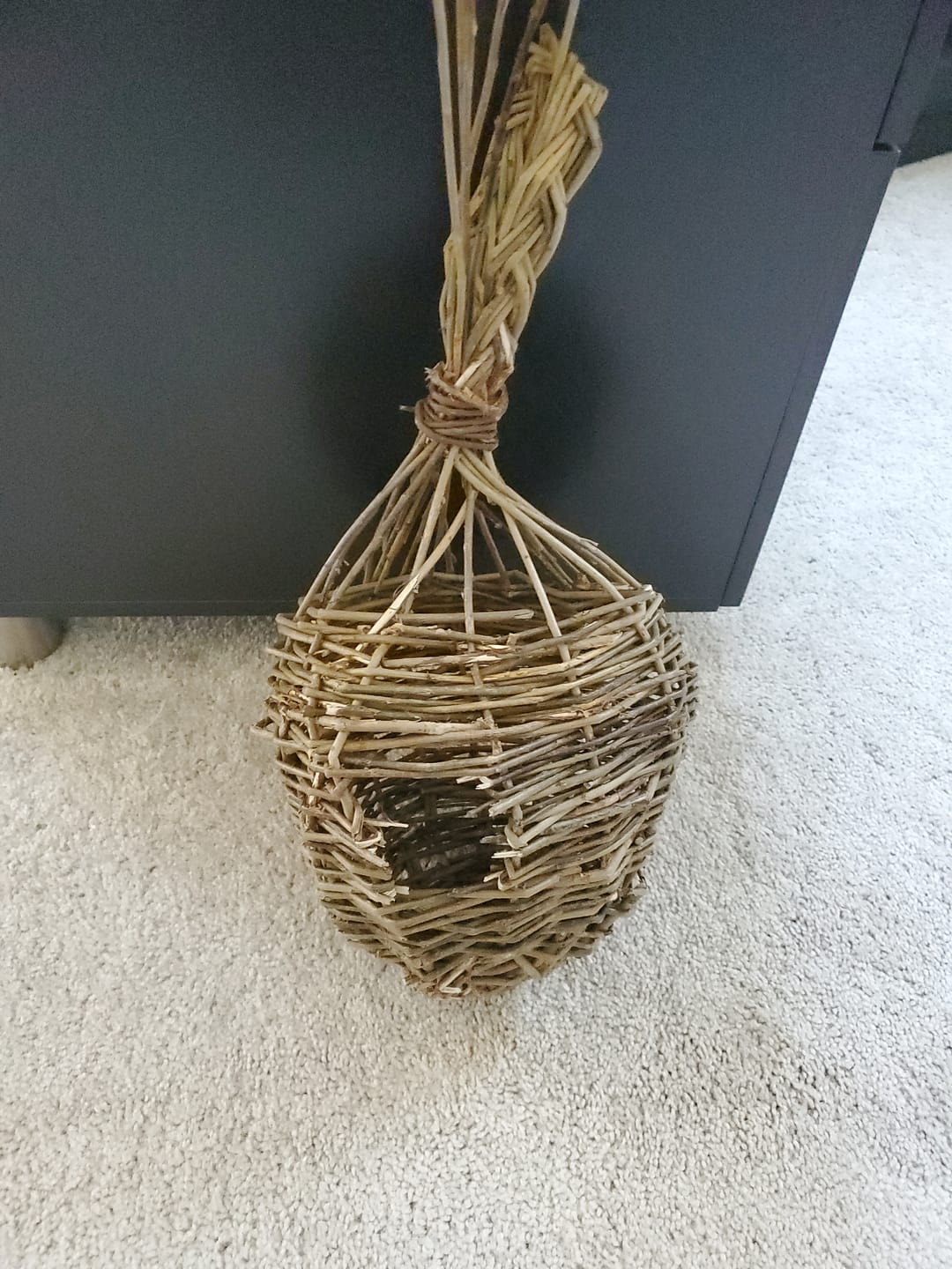 Customer photo review of The Bird Box Course and Kit