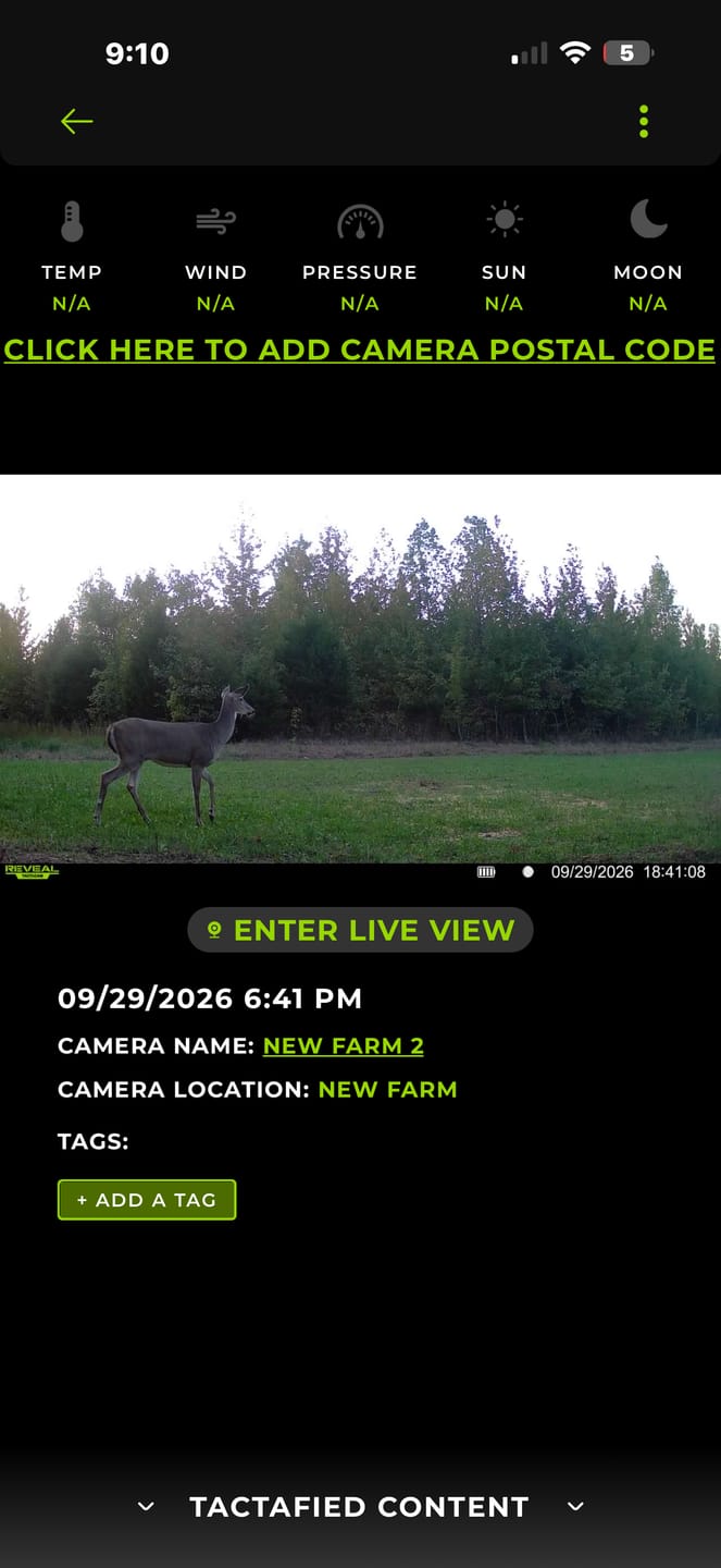 Customer photo review of Whitetail Hill Clover