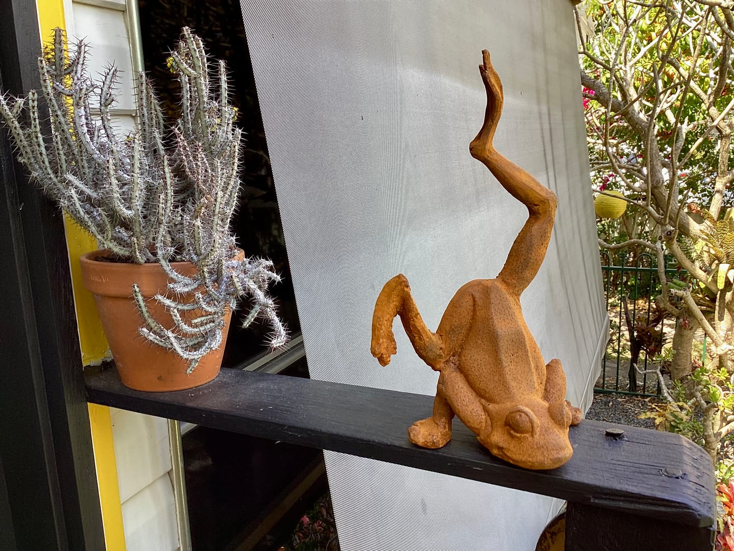 Customer photo review of Major Ribbit French Provincial Frog Statue, Rust Cast Iron 29cm