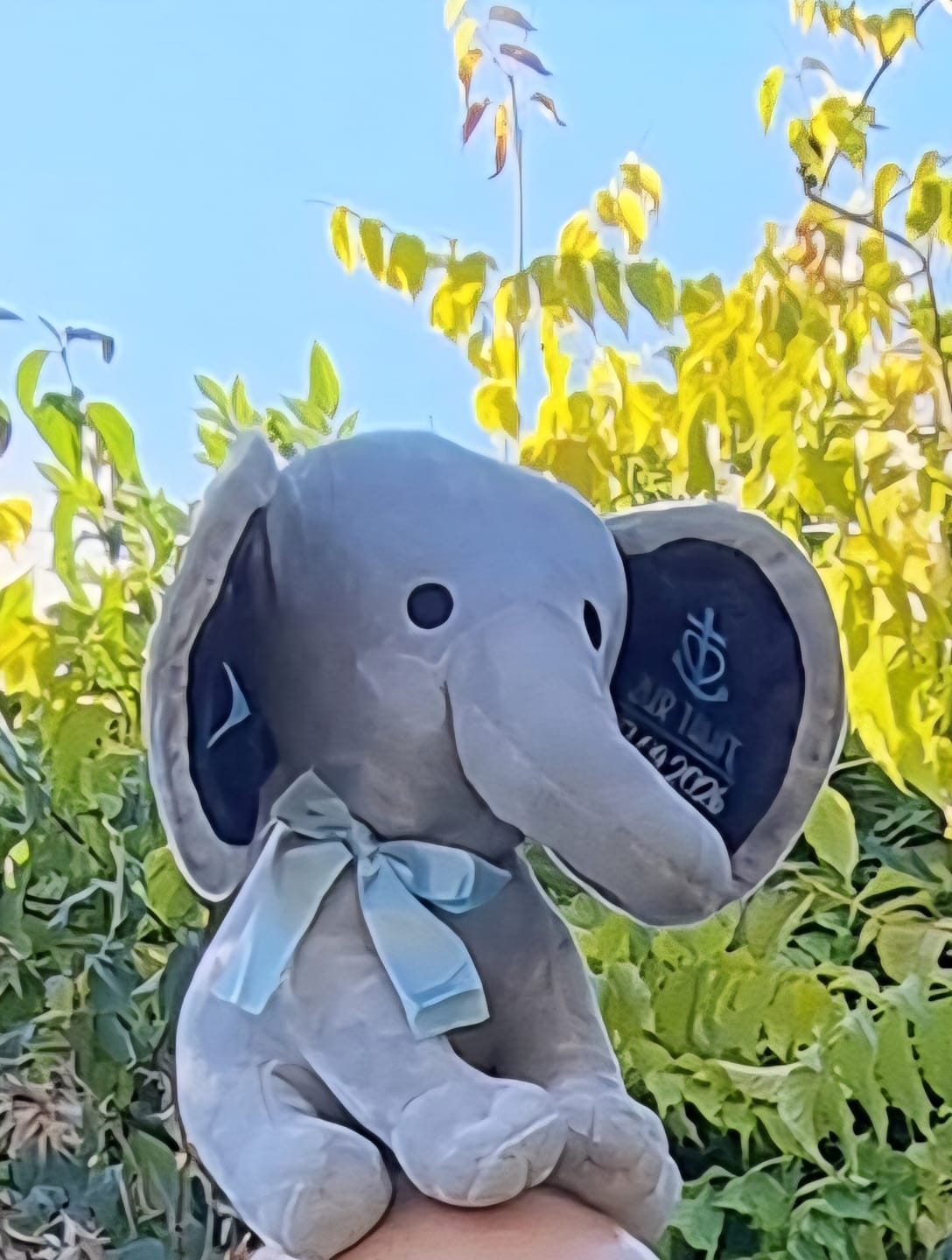 Customer photo review of Kuschel Elefant zur Taufe - Personalisertes Baby-Stofftier mit Name und Taufdatum