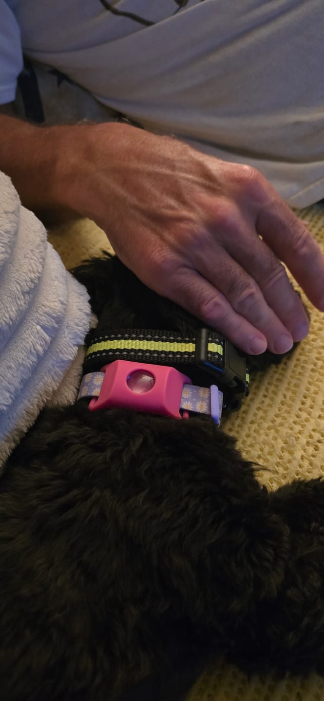 Customer photo review of FurLife™ 12 Months Flea and Tick Free