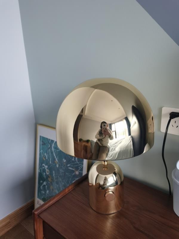 Customer photo review of Domed Metal Table Lamp, Gold Rose Gold or Chrome, Plug In